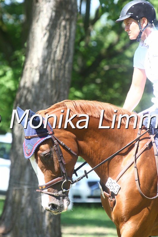 308M1809_Evita_Spring Mxx.JPG